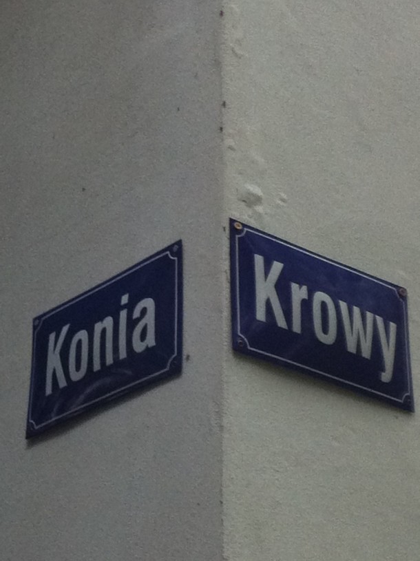 My wybieramy adres przy ul. Konia, a nie przy ul. Krowy.  