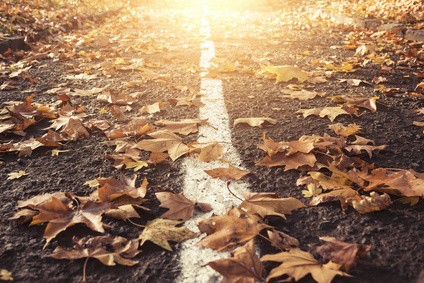 Spacer w parku wśród opadłych, kolorowych liści może zakończyć się napadem kaszlu lub nieprzyjemnym katarem. I to nie musi być przeziębienie!