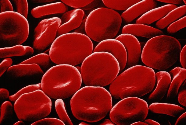 Jeśli nawet krew pacjenta jest pobierana do kilku różnokolorowych probówek, ubytek krwi jest nieduży.   