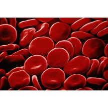 Jeśli nawet krew pacjenta jest pobierana do kilku różnokolorowych probówek, ubytek krwi jest nieduży.   