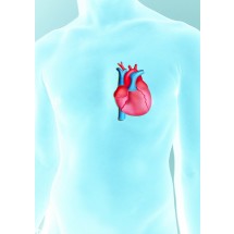 Zaburzenia rytmu serca to bardziej objaw, niż choroba. Zdiagnozowanie ich podłoża jest bardzo ważne dla prawidłowego leczenia.    