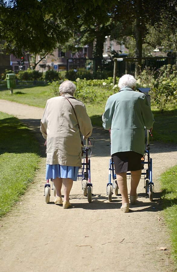 Najbardziej pożytecznym dla kości wysiłkiem fizycznym jest chodzenie. W późniejszym wieku dla bezpieczeństwa można się wspomagać laską bądź balkonikiem. Ale trzeba chodzić!   