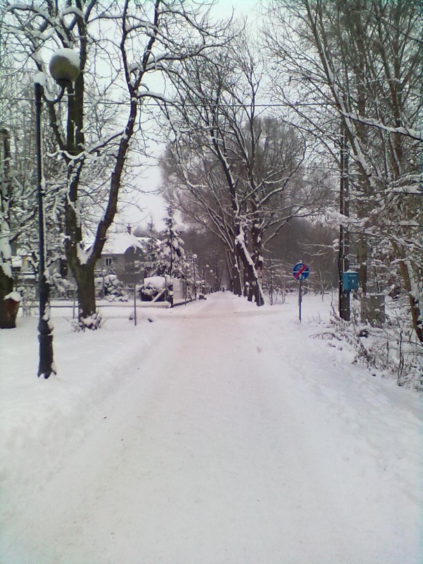 Zimowy spacerek.